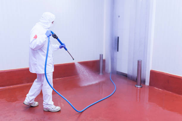 Pre-Holiday Cleaning in Fayetteville, AL